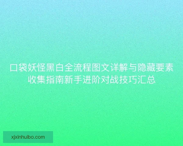 口袋妖怪黑白全流程图文详解与隐藏要素收集指南新手进阶对战技巧汇总
