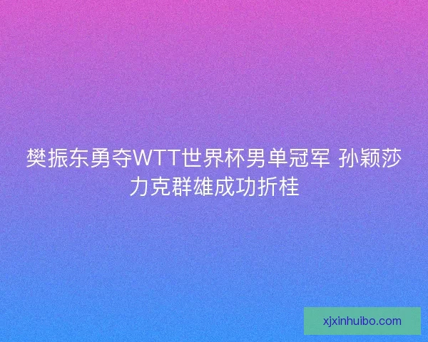樊振东勇夺WTT世界杯男单冠军 孙颖莎力克群雄成功折桂